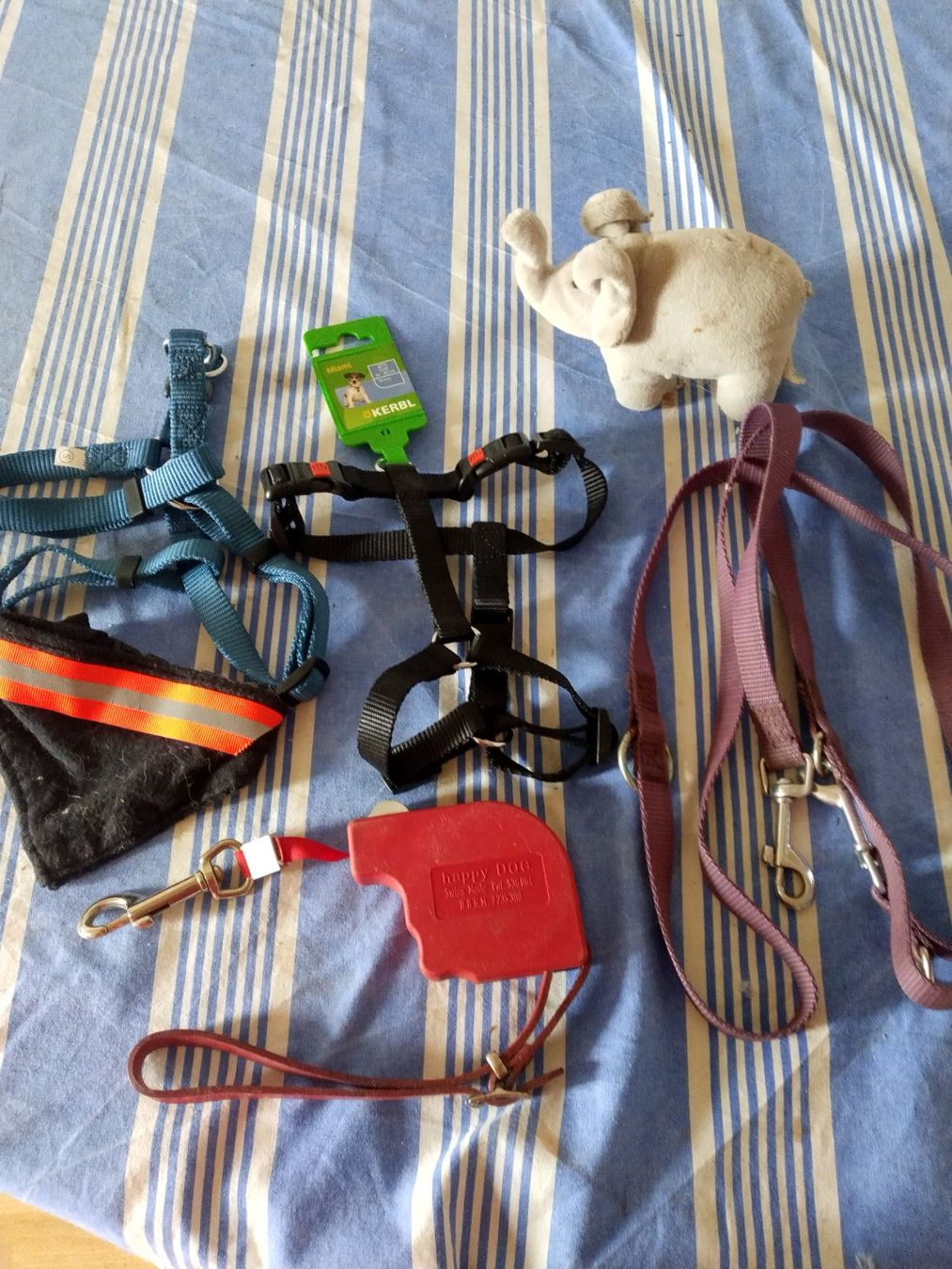 Abbigliamento: Div.Hundezubehör Grösse S – Usato da Oberbipp venduto da Dollerhome 1