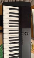 Casio CDP-120