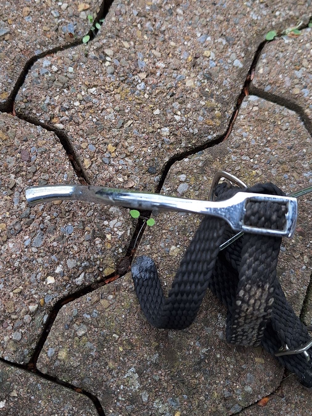 Selle & Accessori: Reitsporen, stumpf – Usato da Effretikon venduto da Misterdyn 1