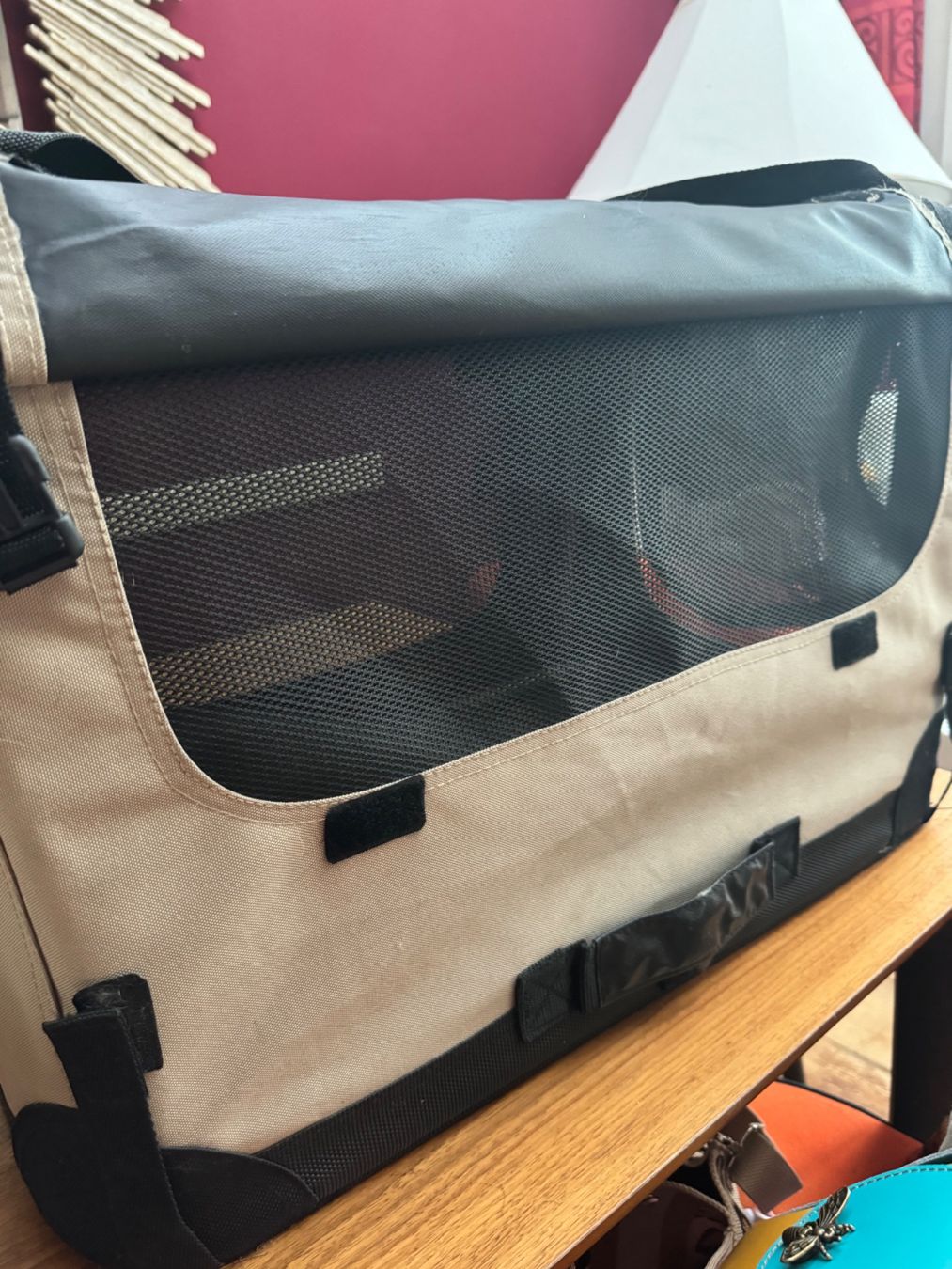 Gabbie, trasporto & Sicurezza: Hunde Transport Box – Usato da Zumikon venduto da Celine_1001 2