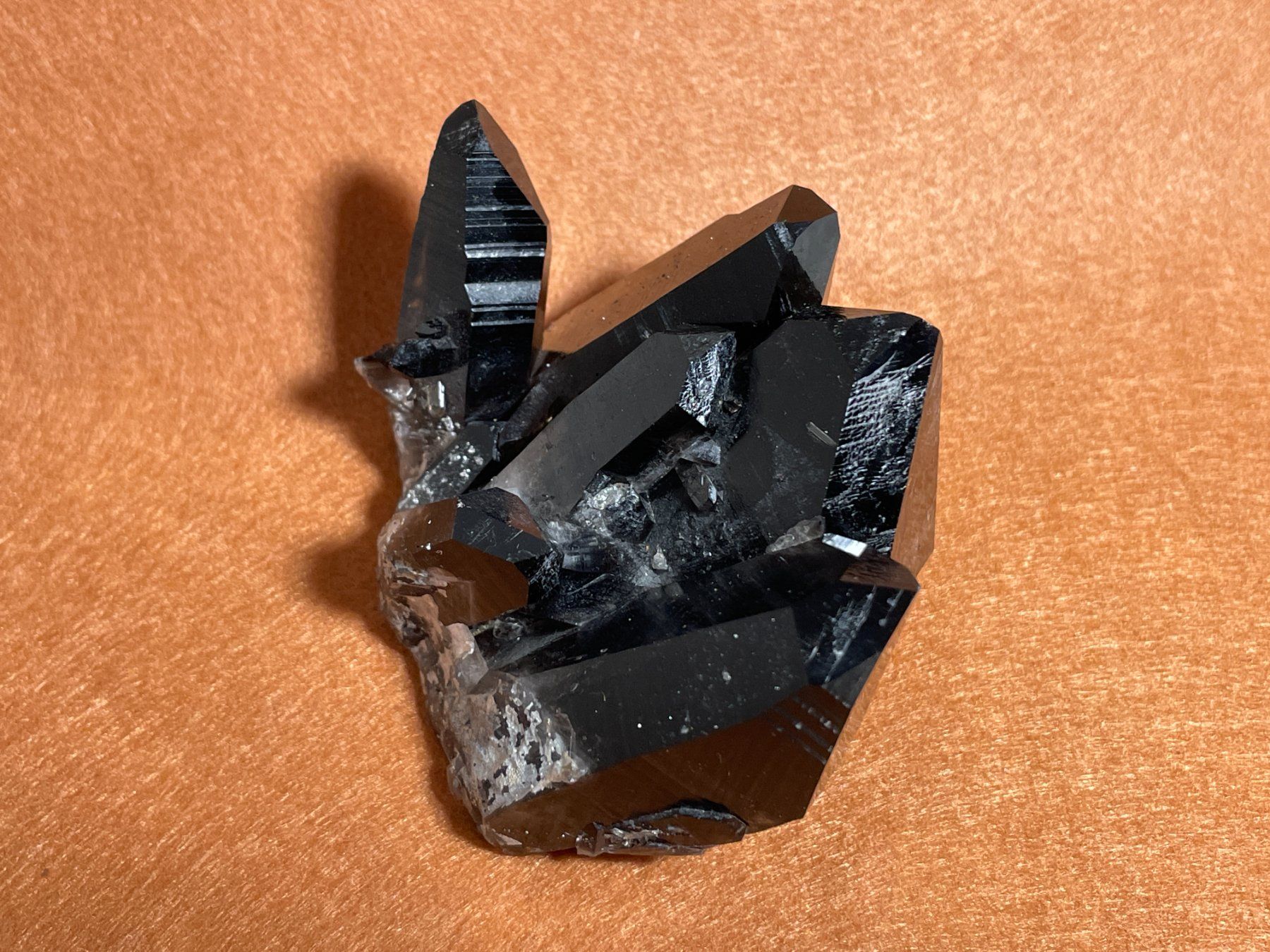 Minerali & Pietre curative: Quartz morion – Nuovo (secondo la descrizione) da Cernier venduto da Tashi_Delek 1