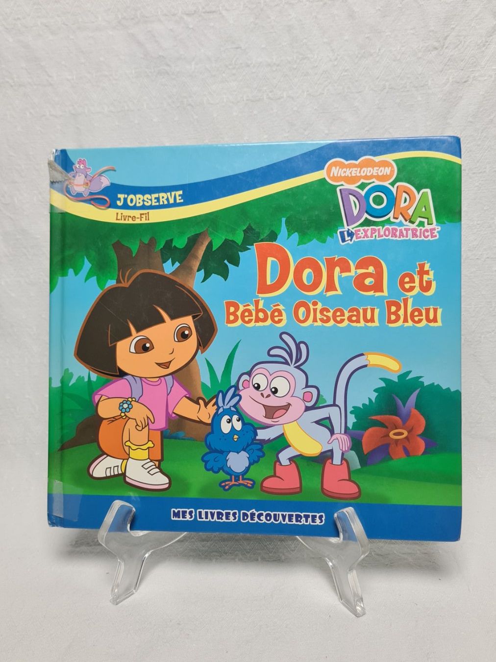 Libri: Lots de 8 livres "Dora l'Exploratrice" – Usato da courtelary venduto da ikidin65 4