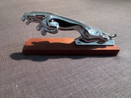 Jaguar Kühlerfigur