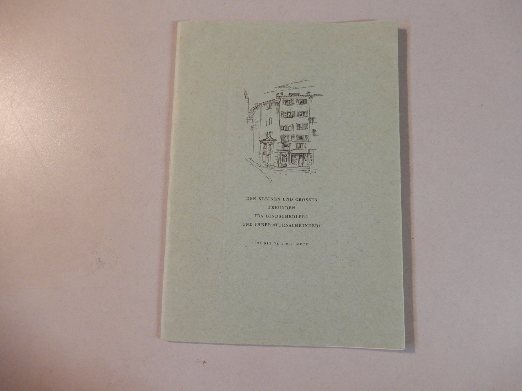 Bücher: Ida Bindschedler, "Turnachkinder", Studie von M. S. Metz – Gebraucht aus Erstfeld von Mario_boe0