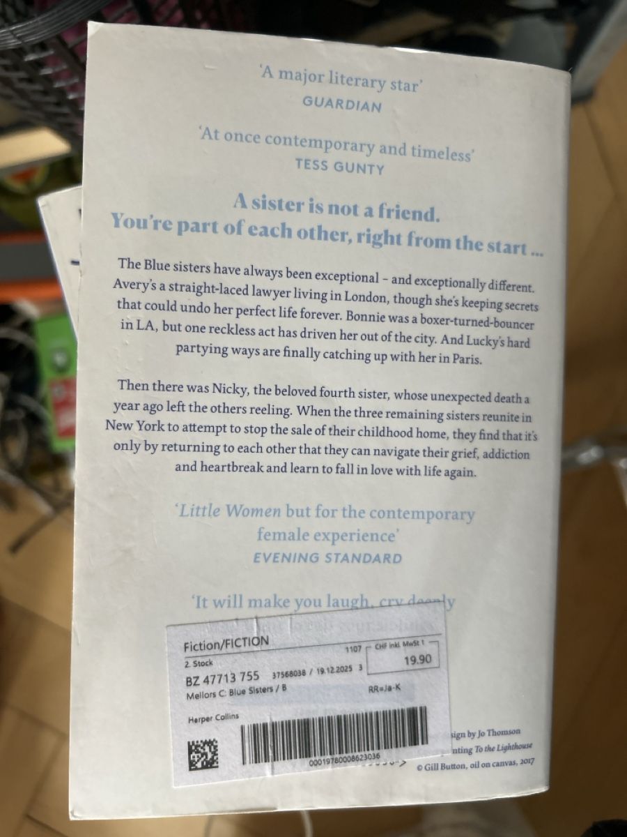 Bücher: Blue Sisters by Coco Mellors – Gebraucht aus Bern von nutzername03 1