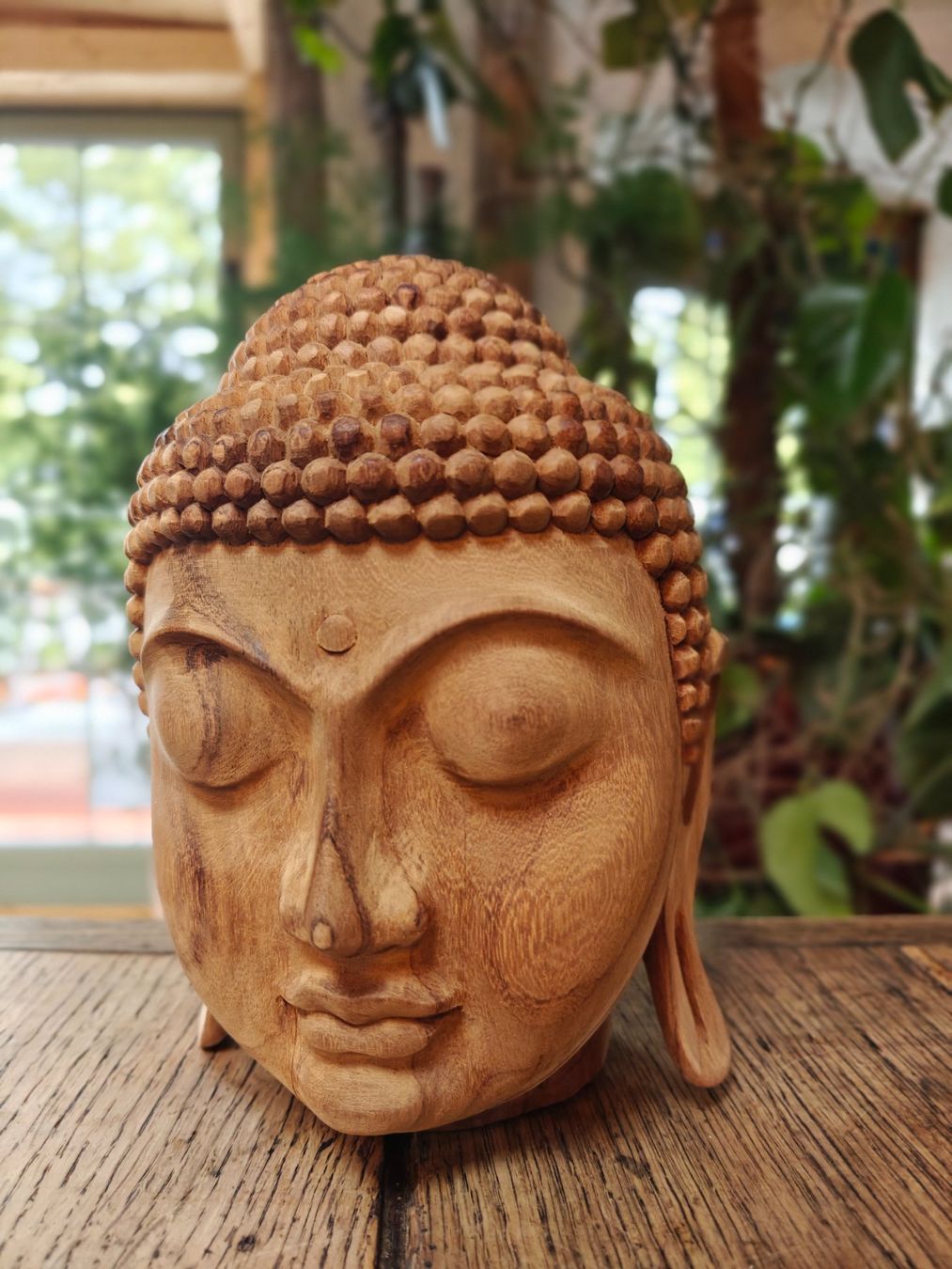 Sculture & Statue: Buddha Statue Kopf – Usato da Rheineck venduto da Don_maestro 7