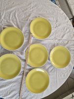rossler jaune 6x assiettes jaune 24cm