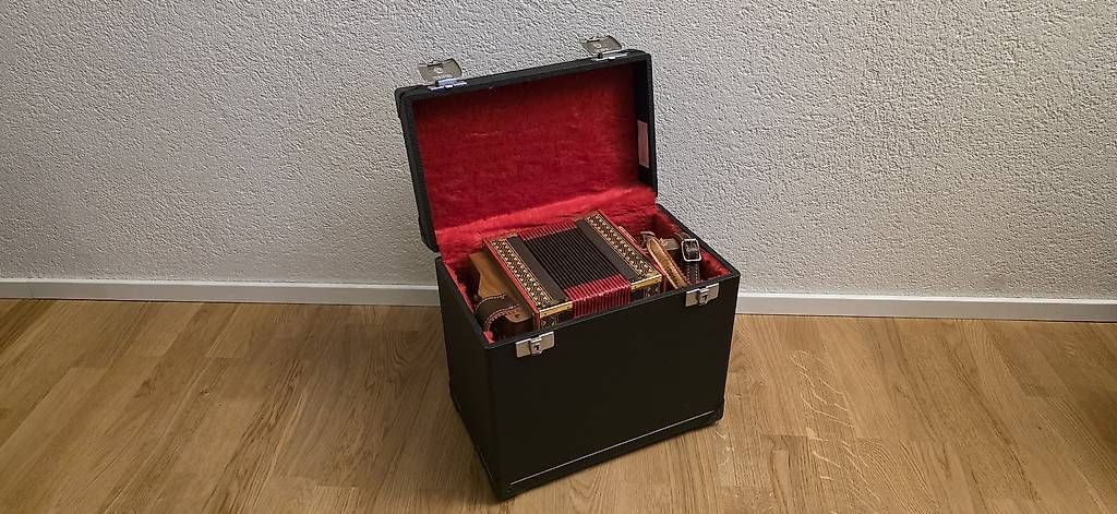 Strumenti musicali: Schwyzerörgeli Tonlage A – Usato da Rupperswil venduto da Jacky081 4