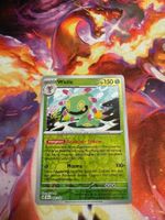 Wielie (SCR 006) / Reverse Holo / Stellarkrone