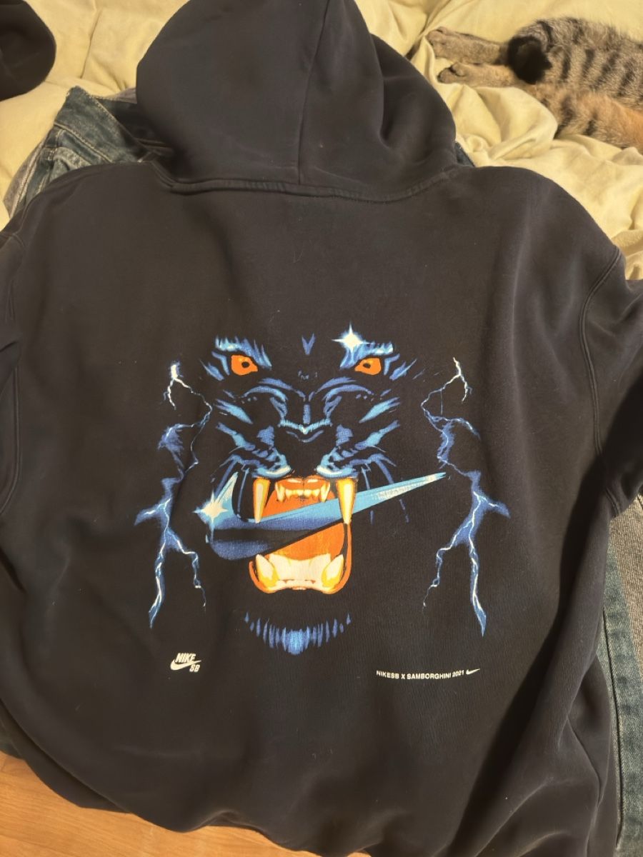 Nike Maglioni & Felpe: Nike Hoodie Gr. L – Usato da Bürglen TG venduto da mic_w2yg 1