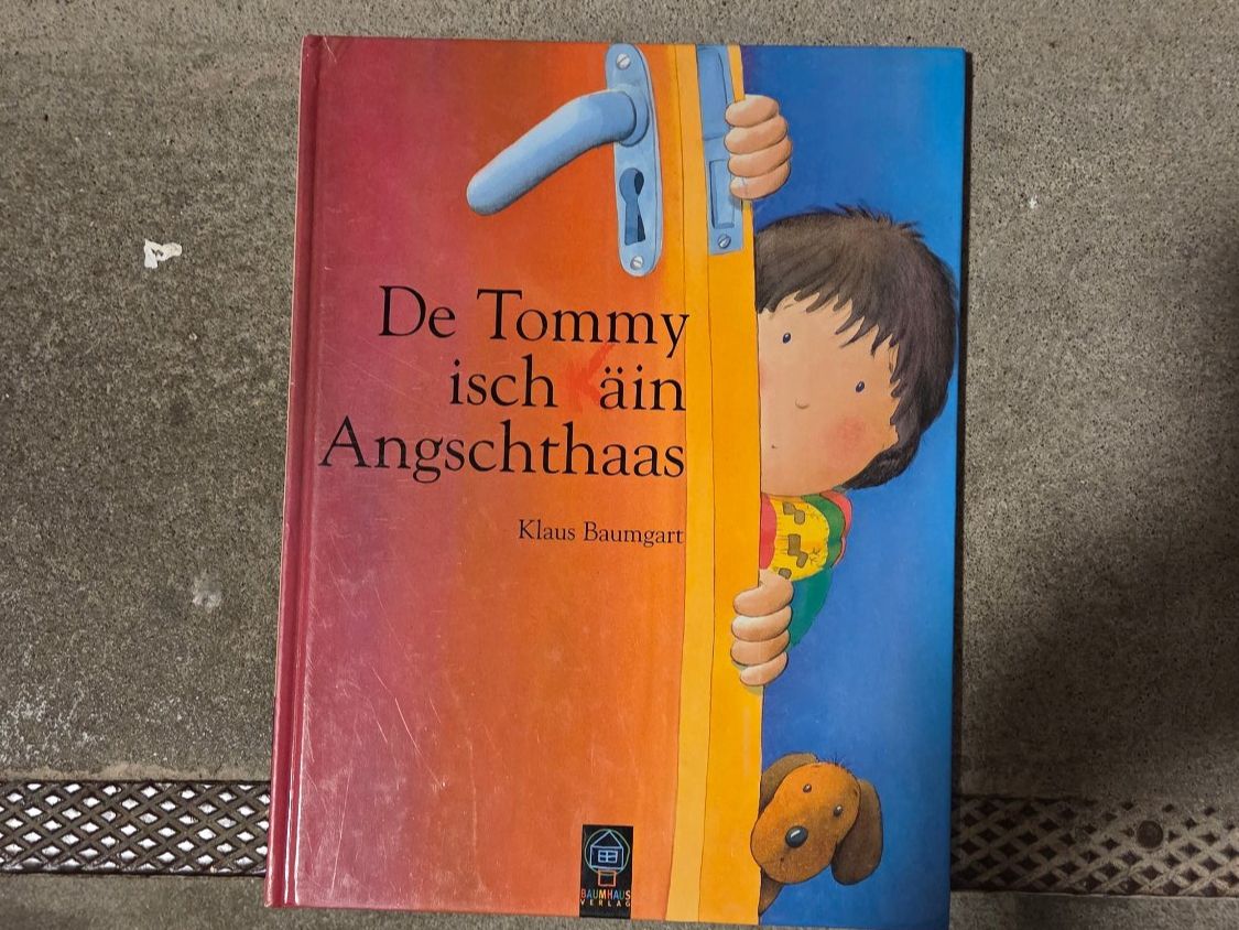 Libri: Kinderbuch: Dä Tommy isch (K)äin Angschthaas – Usato da St. Gallen venduto da Razoon77