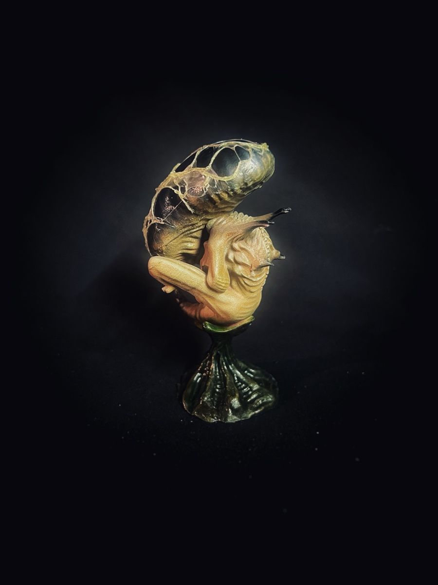 Statuette: Alien Embryo Figur, nicht Sideshow Coolprops – Nuovo (secondo la descrizione) da Glattfelden venduto da Ak_5bL 2