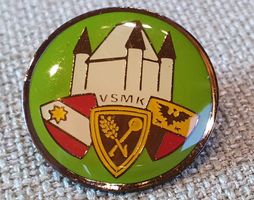 A601 - Pin VSMK Thun Schloss  Nr.156