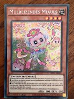 Yu-Gi-Oh!-Karte - Mulreizendes Miauls (SUDA-DE025)