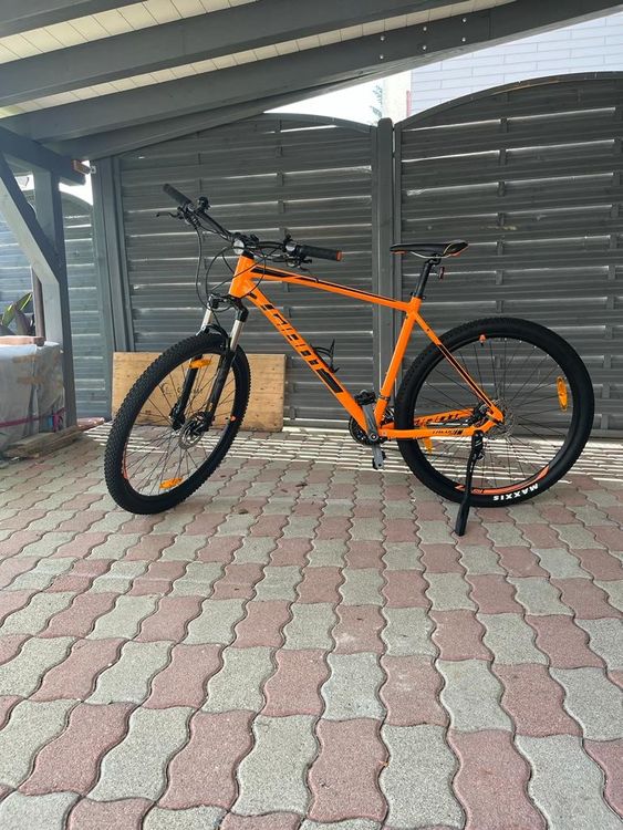 Giant talon cheap 2 orange