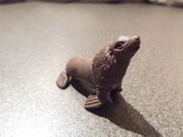 Seehund, dunkelgrau
