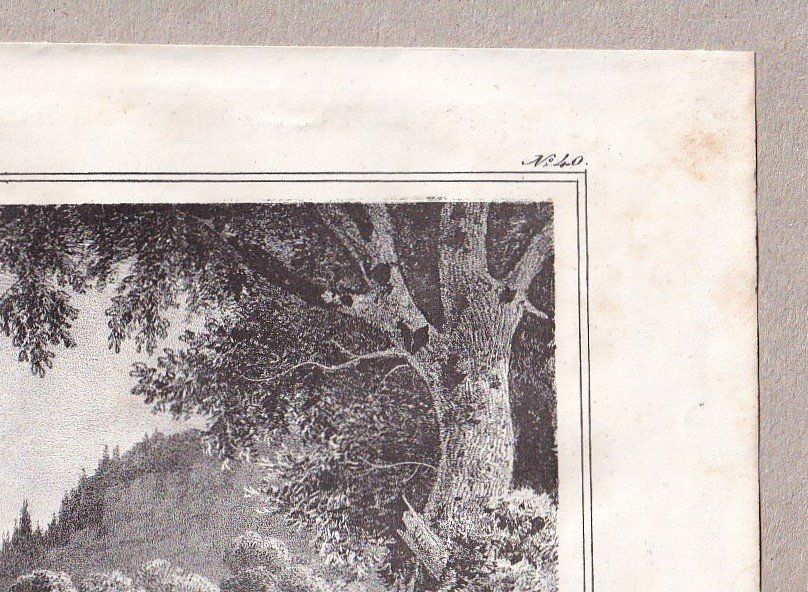 Incisioni: ISELTWALD, LITHOGRAPHIE VON 1836-1845 – Usato da Grüningen venduto da Kartensammler 3