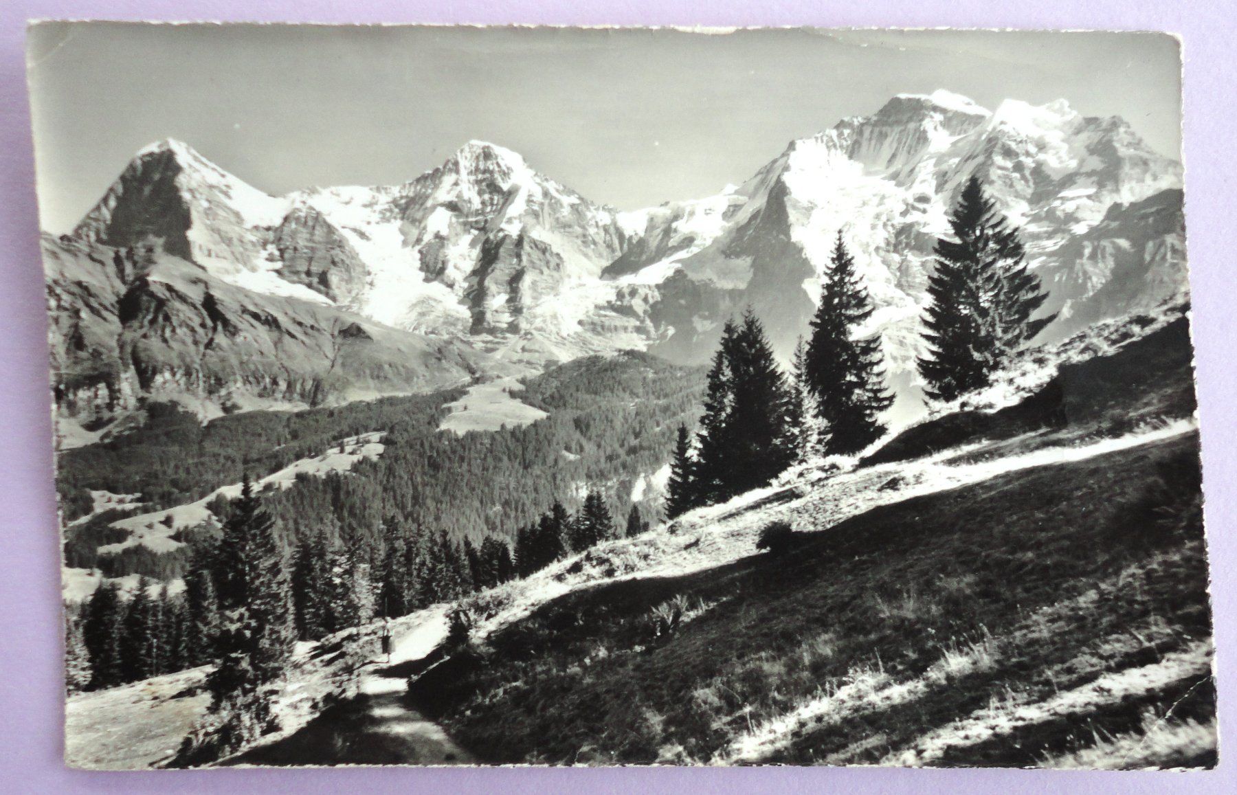 Cartoline postali: Mürren am Weg nach Grütschalp – Difettoso da Fétigny venduto da Billy2miny