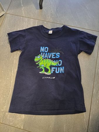 Cooles T-Shirt, Gr. 7-8 Jahre, Dino-Motiv, Top Zustand