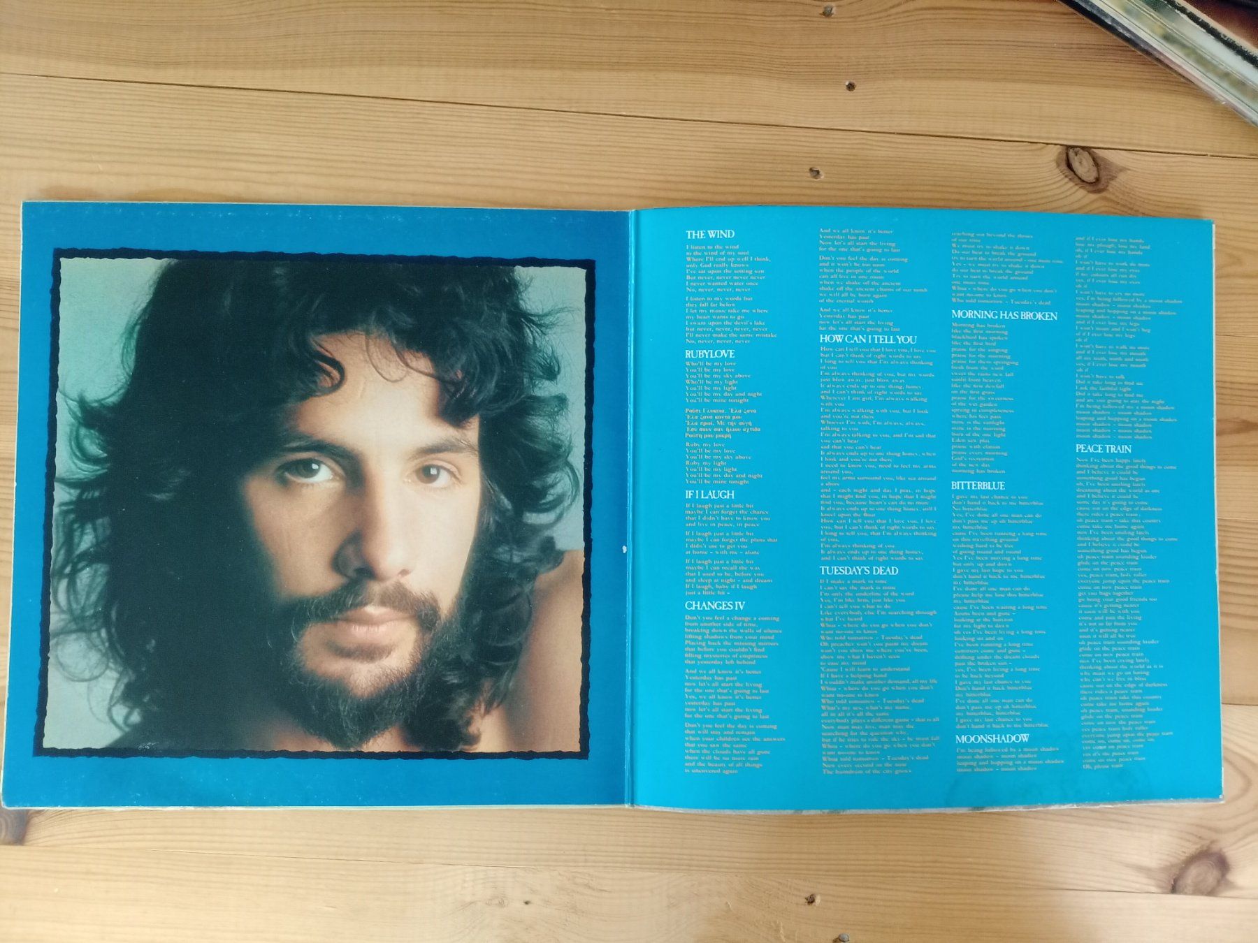 Dischi in vinile: Cat Stevens - Teaser and the Firecat, LP, TOP – Usato da Waldenburg venduto da STICKER_KING 2