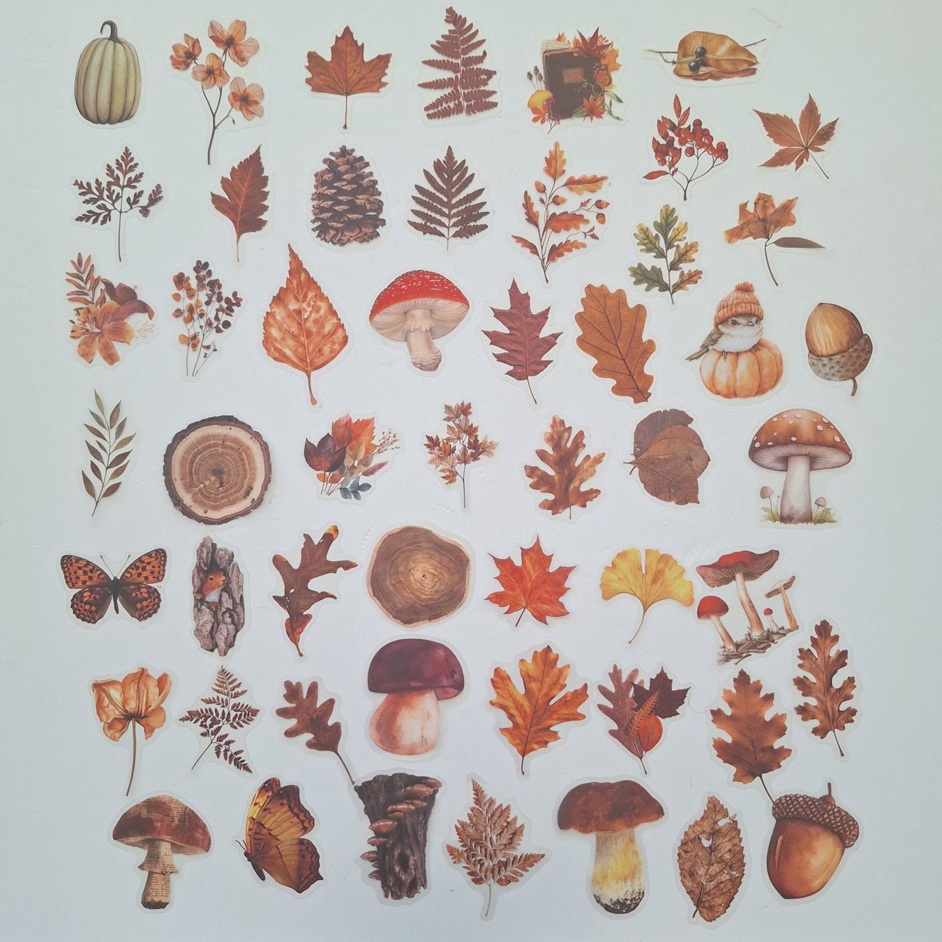 Sticker: 50 Aufkleber Sticker - Herbst – Nuovo e nell'imballaggio originale da Basel venduto da Kunterbunt12