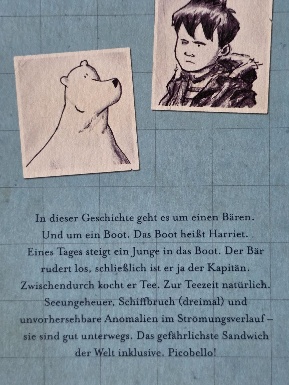 Libri: BÄR IM BOOT von Dave Shelton ab 9j bis 99+ – Nuovo (secondo la descrizione) da Dürnten venduto da Bachtelsurfer 3