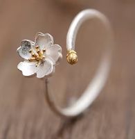 Ring Verstellbar