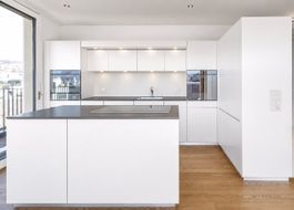 9 Küchengeräte V-ZUG & Liebherr – Gesamtpaket 8008 Zürich