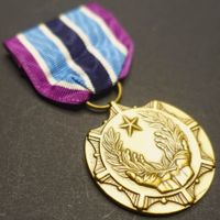 USA Civilian Award for Humanitarian Service Medaille
