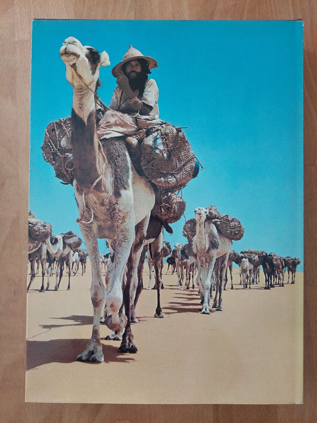 Libri: Sahara – Usato da Yverdon-les-Bains venduto da pri_x6j6 6