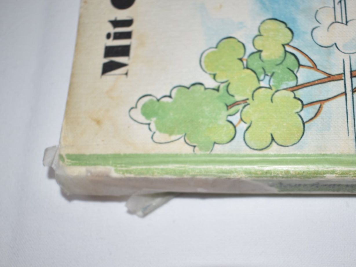 Bücher: Mit Globi durch dick und dünn, 1976, 1. Auflage – Gebraucht aus Speicher von Indigoblau_3 4
