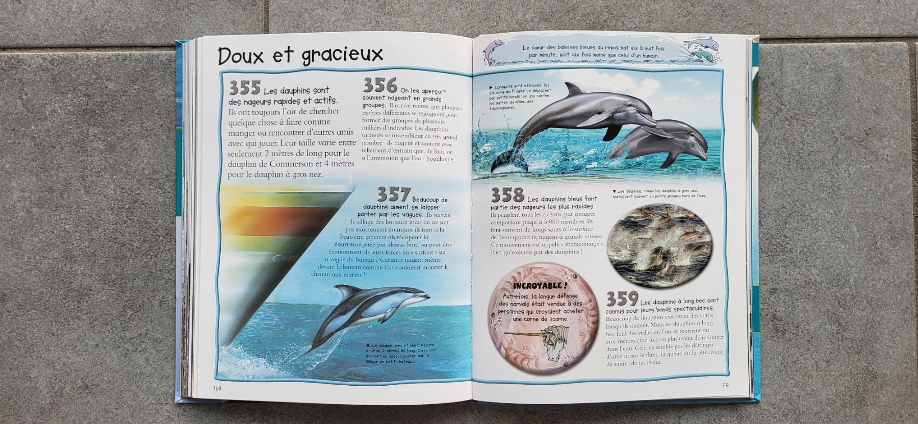 Bücher: 500 infos - Les océans – Gebraucht aus Sembrancher von Jbc71 4