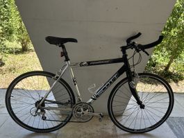 Scott Roadster S Velo – Top Zustand für Sommerausflüge!