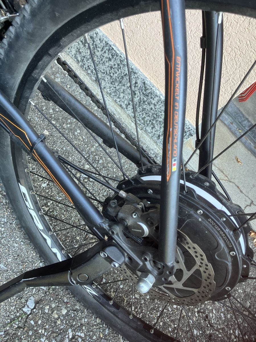 Biciclette: Rex e-Bike 7.8  bergsteiger – Usato da Cureglia venduto da Ottonit 6