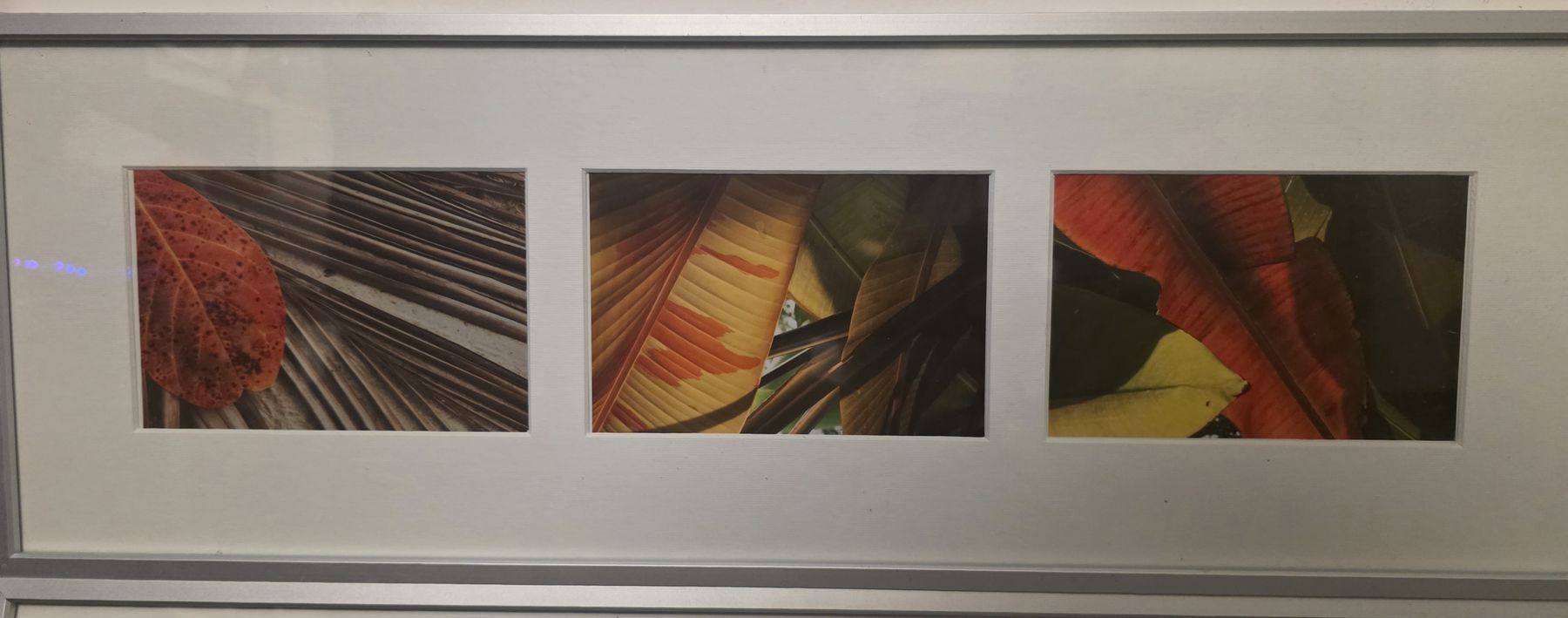 Foto & Immagini: 2x Triptyques faits par photographe pro – Nuovo (secondo la descrizione) da Attalens venduto da Rudebwoy 1