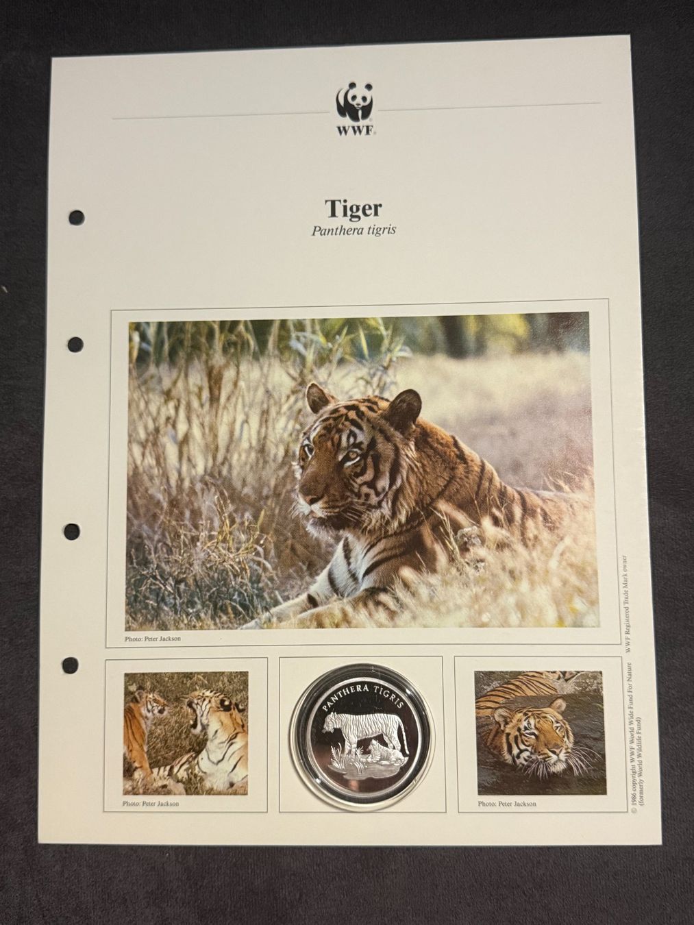 Tutti le monete: WWF Numisblatt - PP / 20 Gr. - 0.999 Silber – Nuovo (secondo la descrizione) da Arch venduto da Liam1919