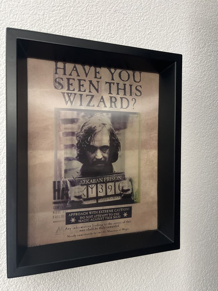 Foto & Immagini: Harry Potter Framed Print - Sirius Black / Harry Potter – Nuovo (secondo la descrizione) da Sierre venduto da black.box 1