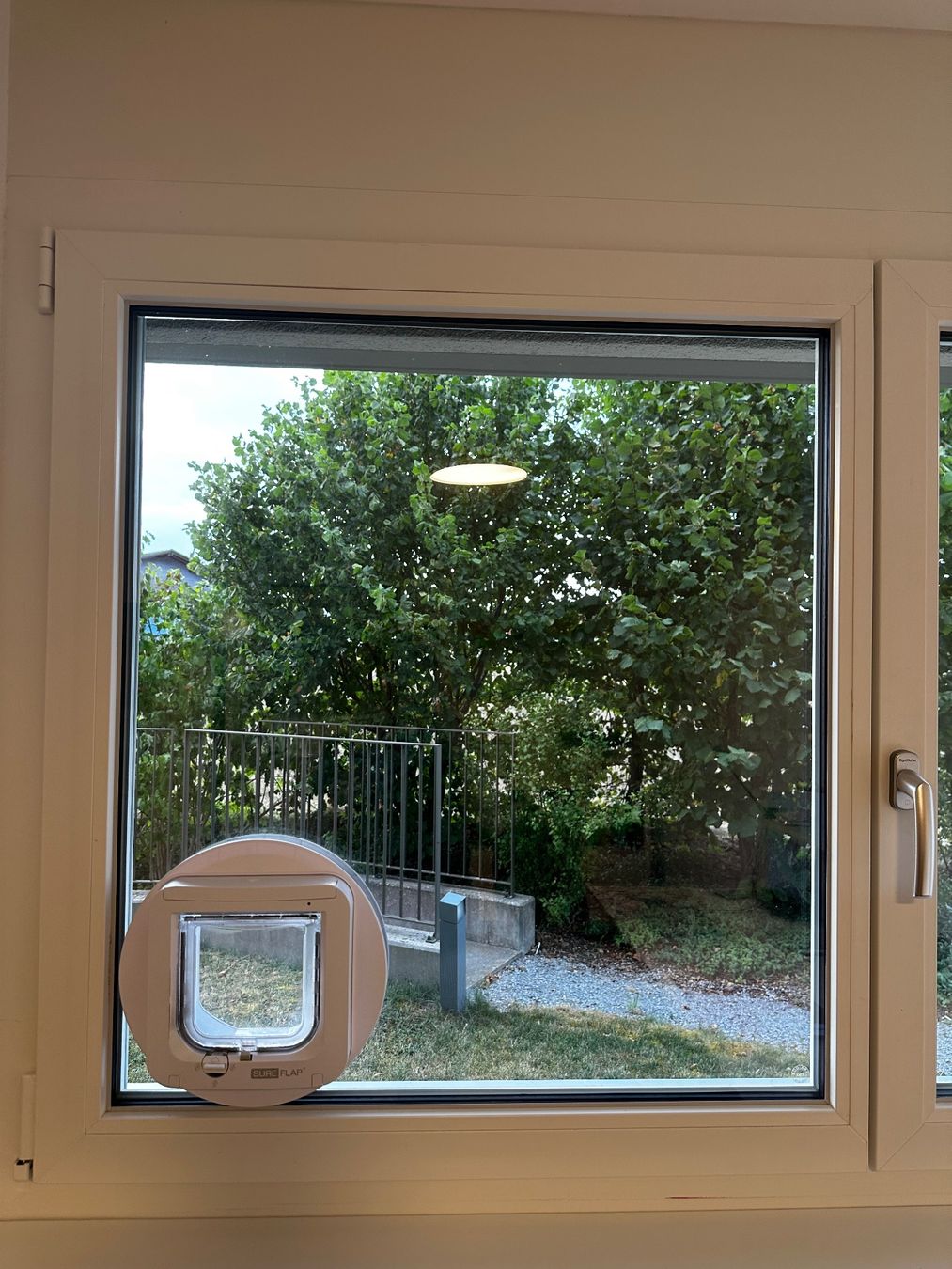 Chatières: Katzenklappe Sure Flap in Fensterglas – D'occasion à Bütschwil par jojo99