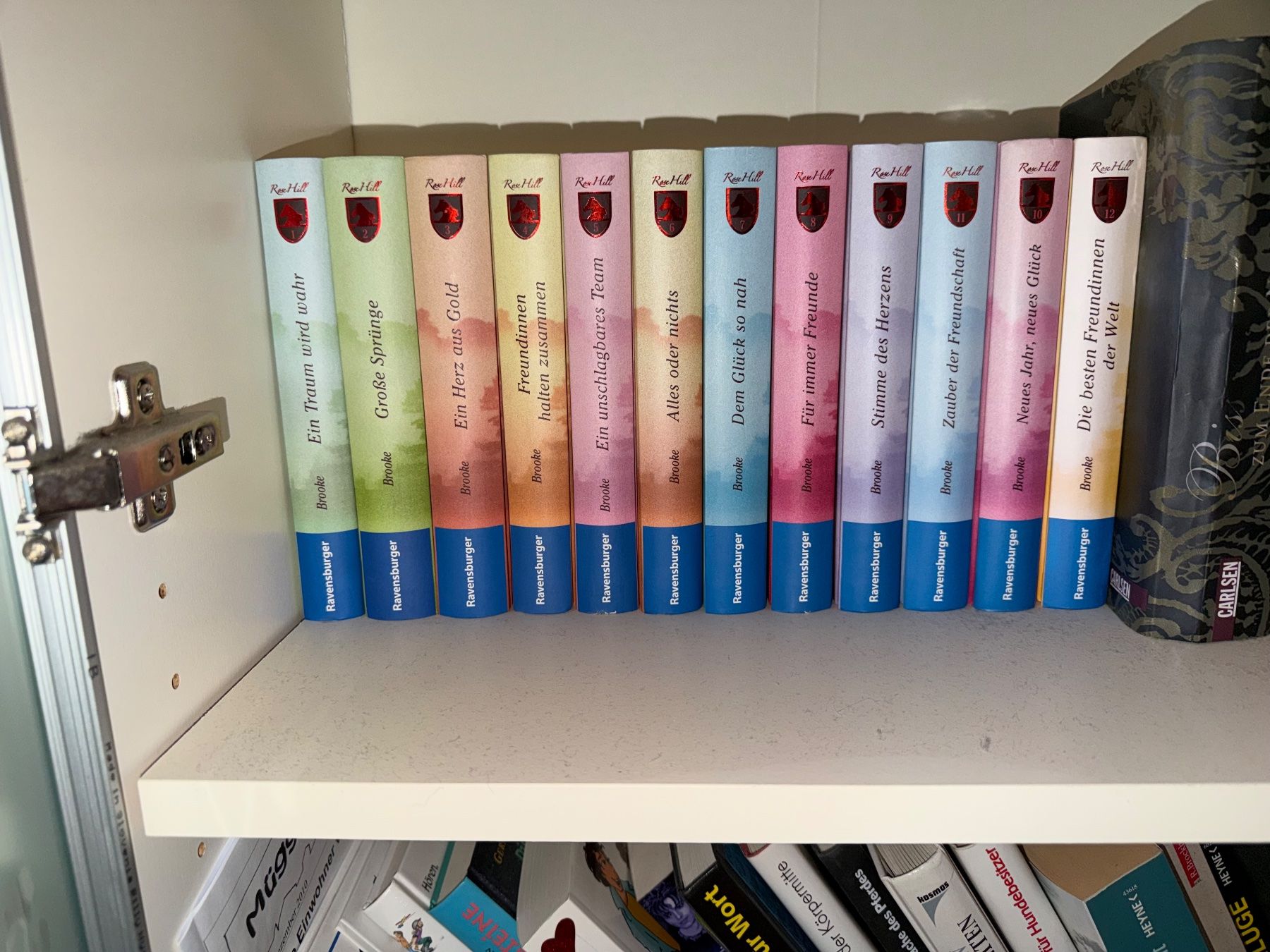 Bücher: Red Hill Bücher Kette – Gebraucht aus Maschwanden von studer_elsener