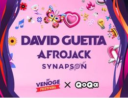 2 Tickets David Guetta Afrojack 11.8.26 Venoge Festival 2026