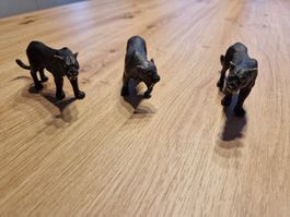 Zu Verkaufen Schwarzer Panther