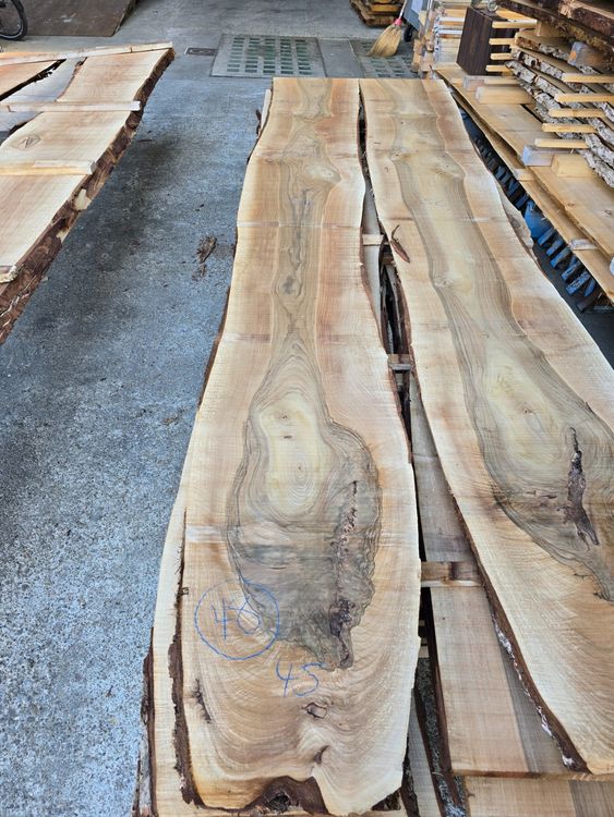 Articoli in legno: Nussbaumbrett Nr.48 – Nuovo (secondo la descrizione) da Lützelflüh-Goldb venduto da Waelchris