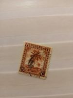 Congo Belge - Timbre rare de collection, palmiers🌴! (51)