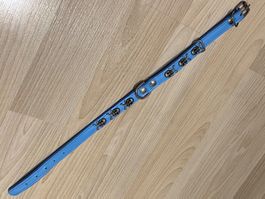 Doxtasy Lederhalsband Totenkopf blau 50cm