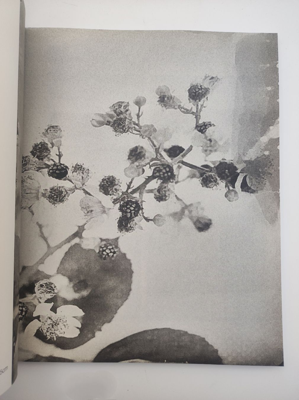 Libri: PHOTOBOOK - STEFFEN DIEMER – Nuovo (secondo la descrizione) da Goldach venduto da Gaip 6