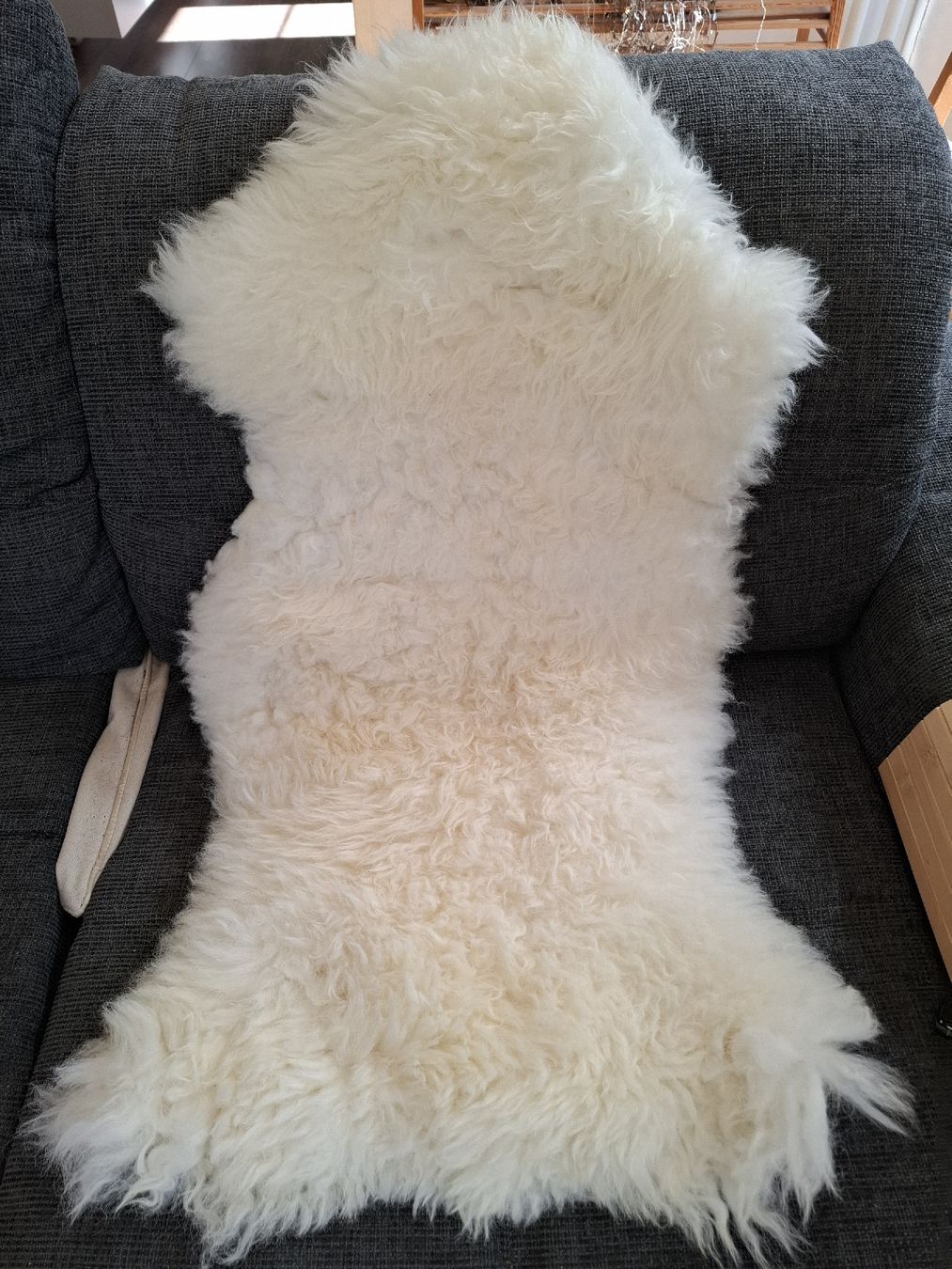 Coperte: Vier echte Lammfell, wunderschöne Winterdeko auf Stuhl, Sofa – Usato da zufikon venduto da Oggi11