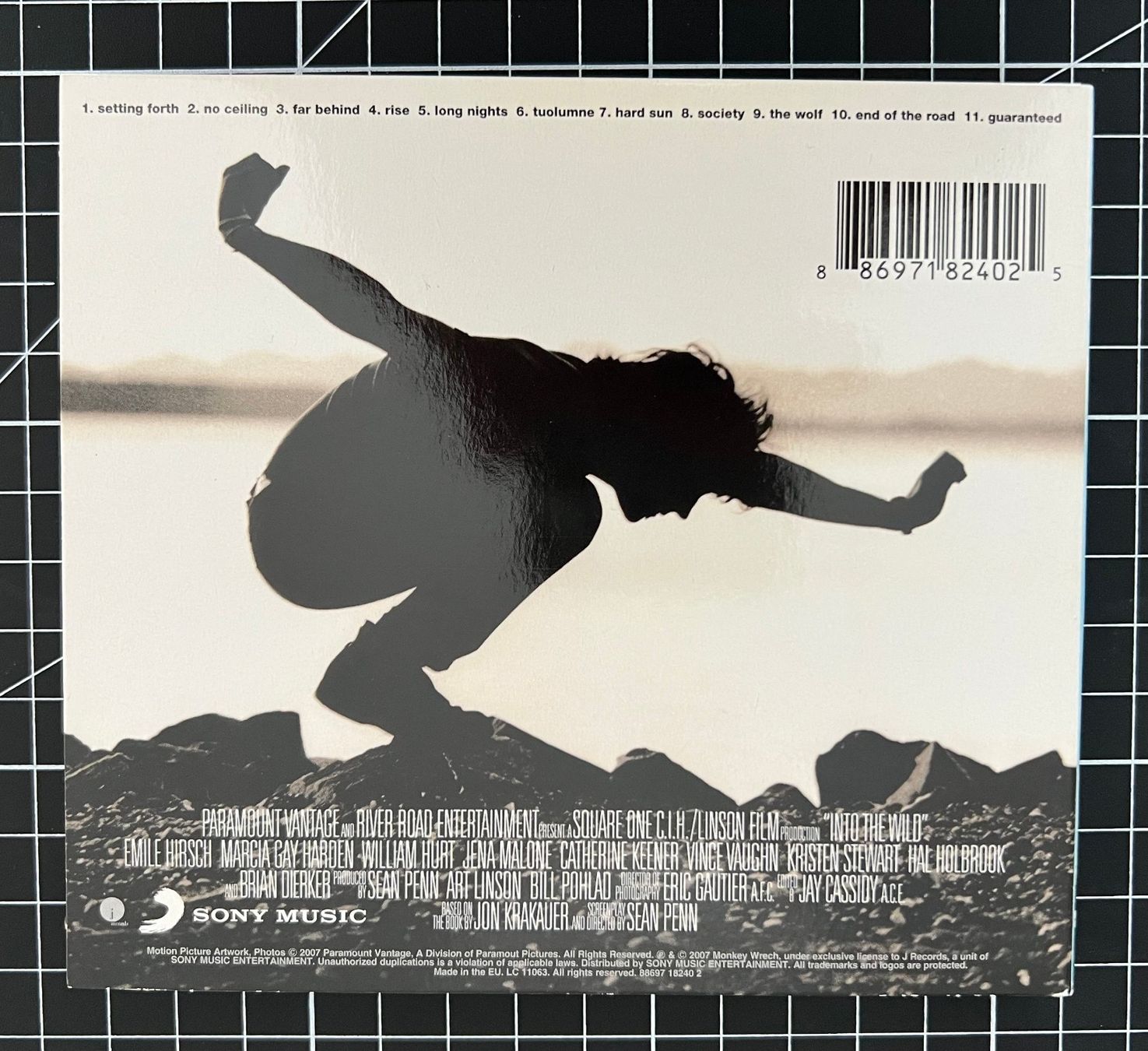 CD: CD Eddie Vedder - Into the Wild – Usato da Ostermundigen venduto da iFonso 1
