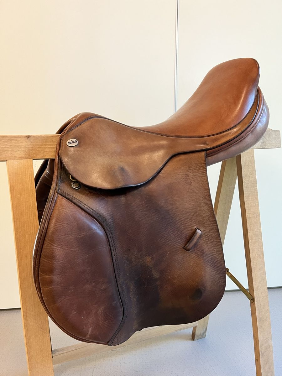 Selle & Accessori: Sattel der Marke Cobra – Usato da Volketswil venduto da knecht78