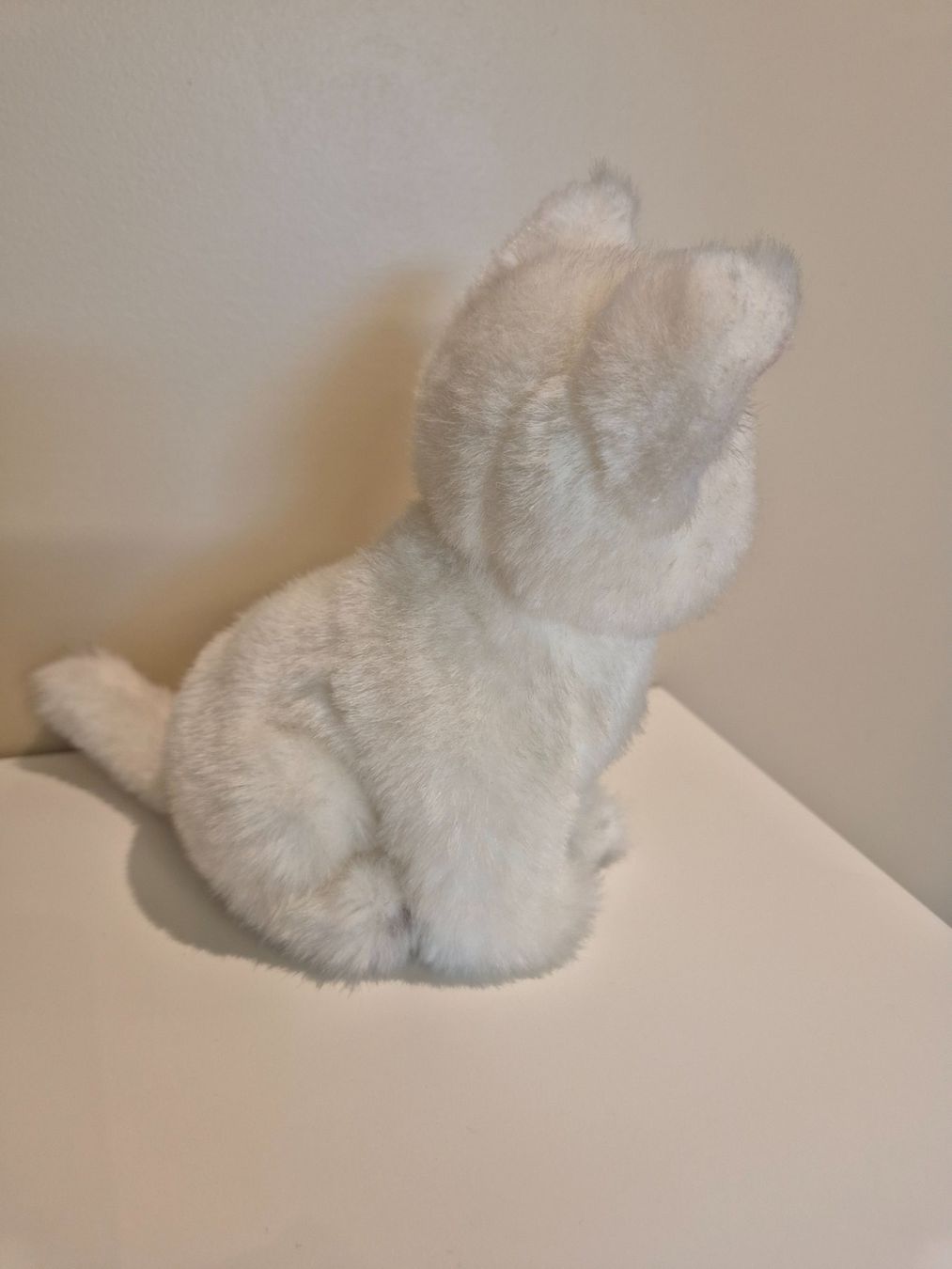 Jouets: Plüschtier Büsi weiss – Neuf (Voir description) à Dietikon par grafad 2
