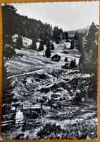 ZUGER - ALPLI - ALPWIRTSCHAFT 1953